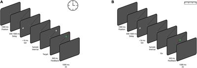 Same principle, but different computations in representing time and space